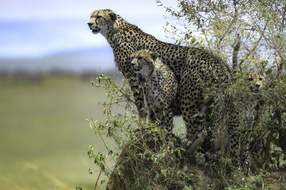 Photograph by Vignesh Ramachandran