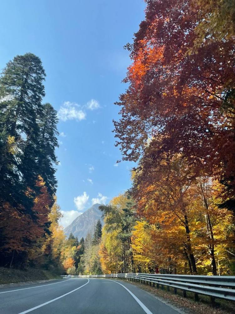 Photograph by Екатерина Титова