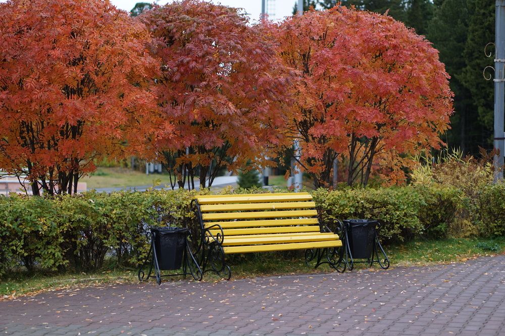 Photograph by Андрей Нурулин