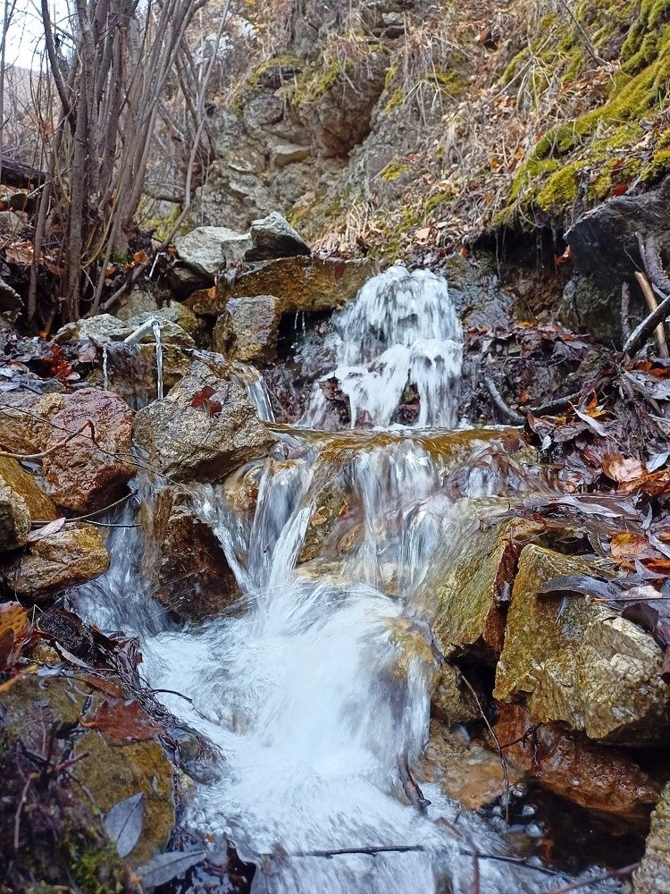 Photo #6671269