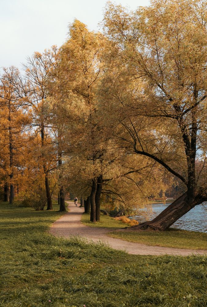 Photograph by Наталья Буракова