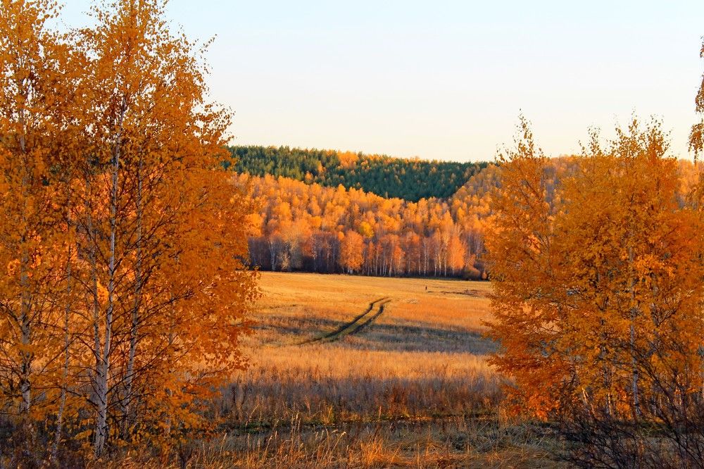 Photograph by Татьяна Перегудова