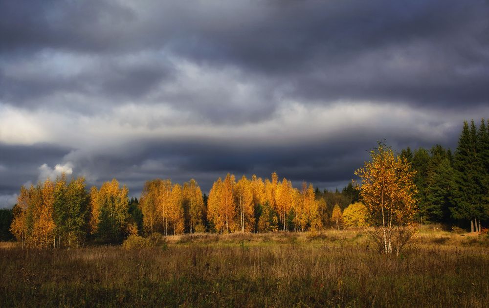Октябрьские зарисовки.