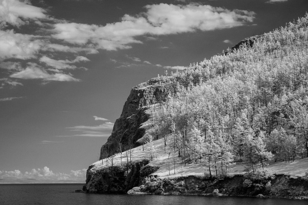 Фотография автора Светлана Фроленко