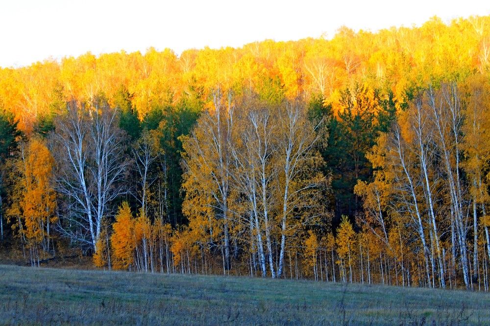 Photograph by Татьяна Перегудова