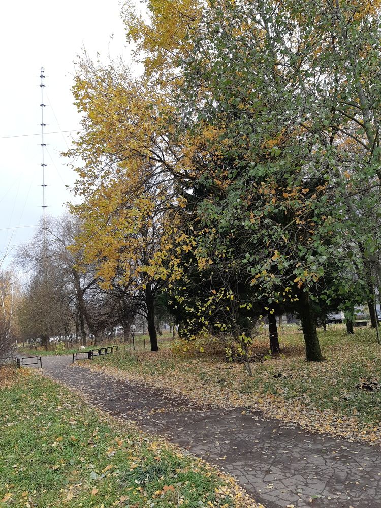 Photograph by Галина Турышева