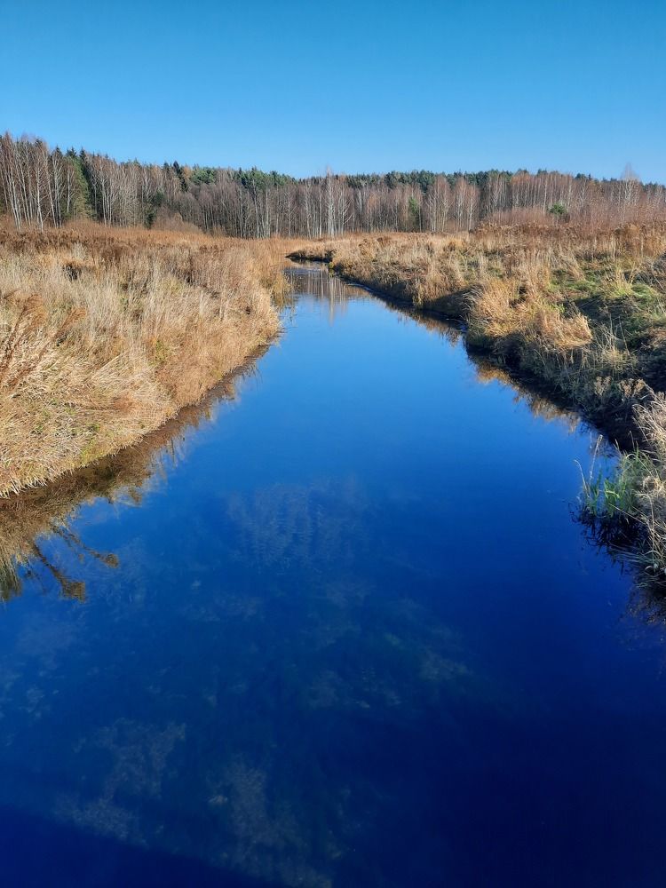 Photograph by Юлия Лебедева
