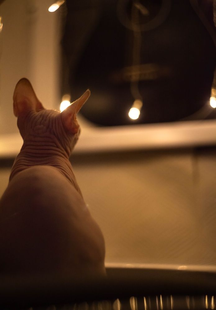 Photograph by Кирилл Митрошкин