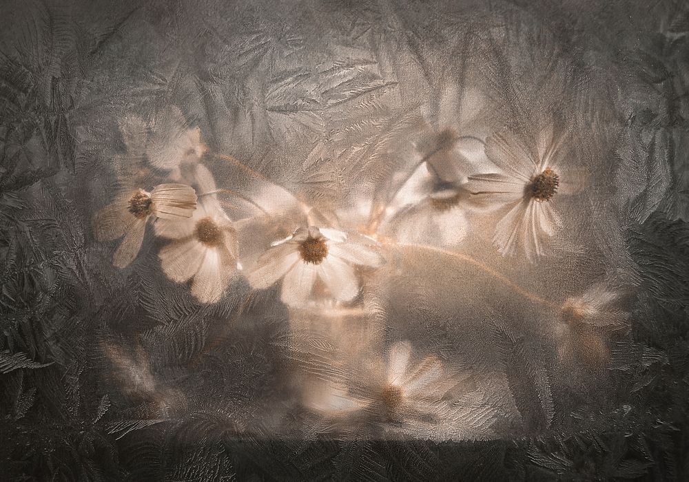 Photograph by Инна Буглак