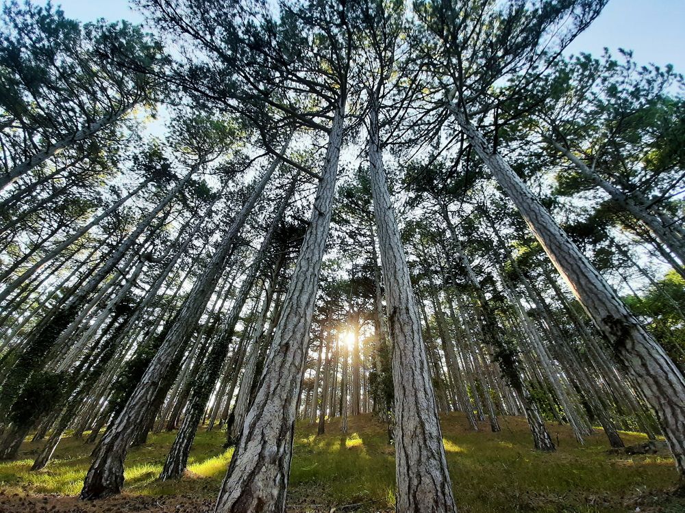 Photograph by Екатерина Титова