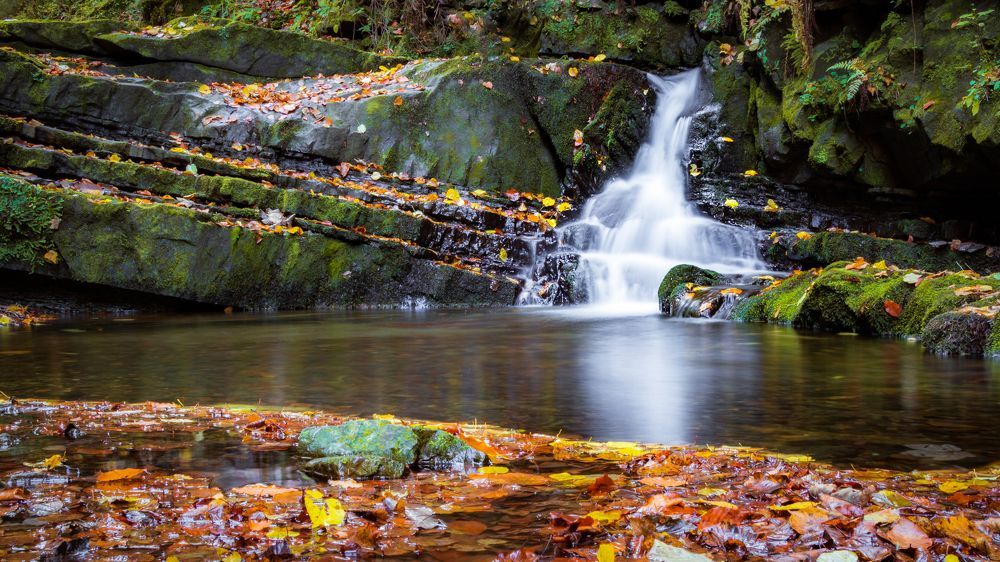 Photograph by Іван Кочержат