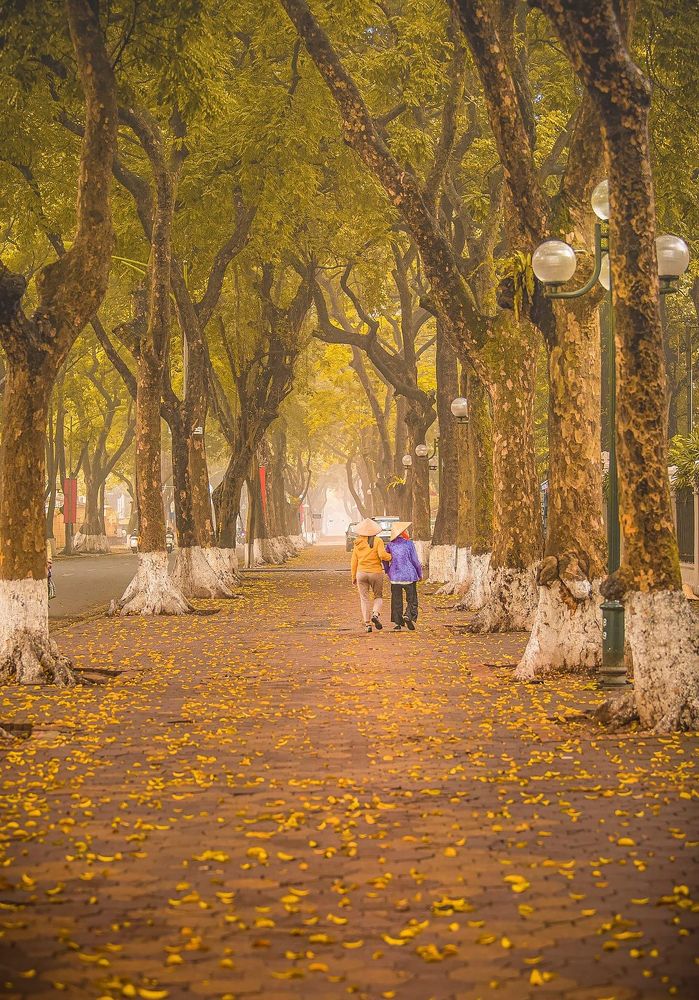 Фотография автора Đào Cảnh