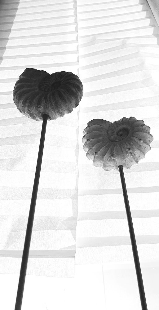 Photograph by Роман Саламатин