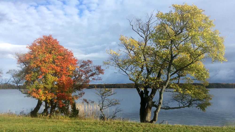 Фотография автора Ольга Белоусова