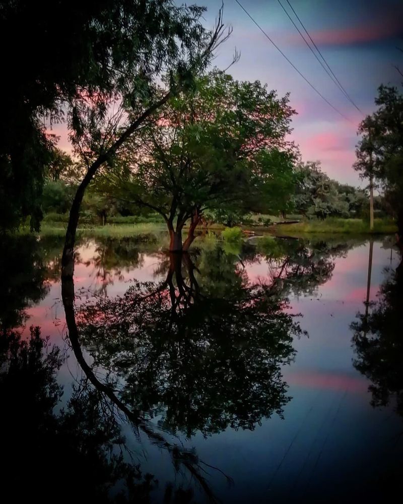 Photograph by Ольга