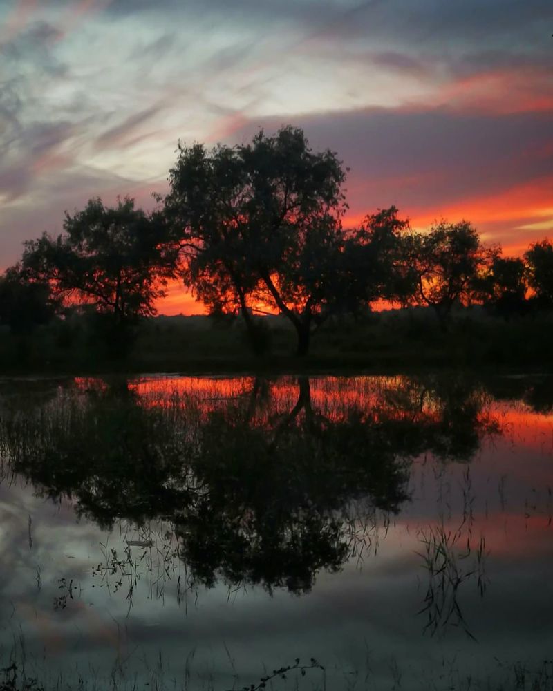 Photograph by Ольга