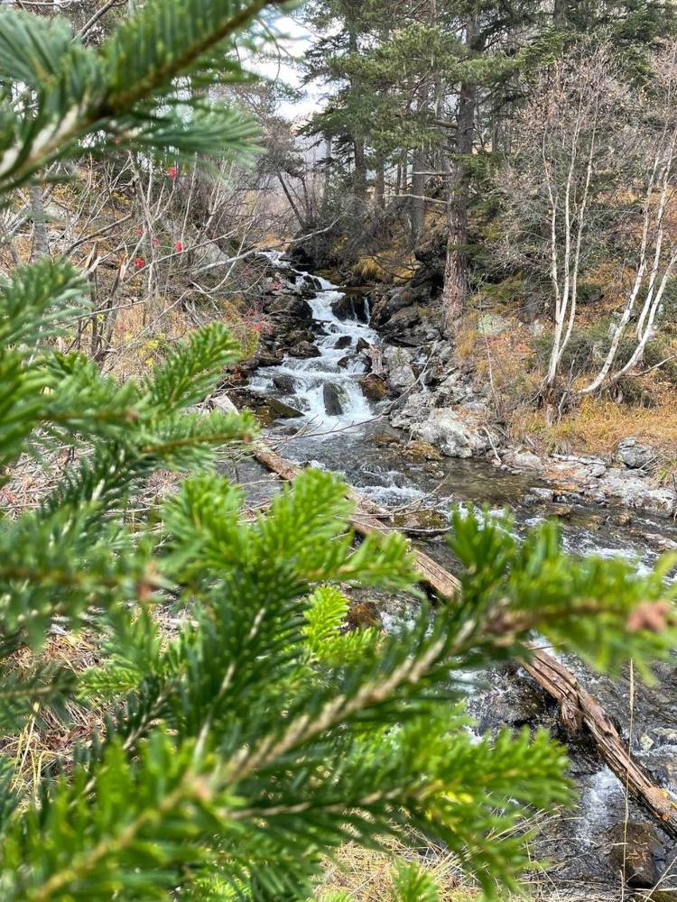 Photograph by Екатерина Титова