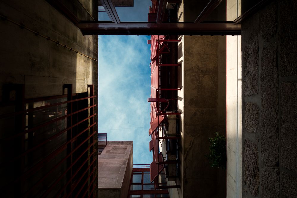 Photograph by Rui Campos