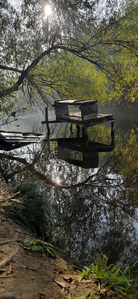 Photograph by Ирина Степанова