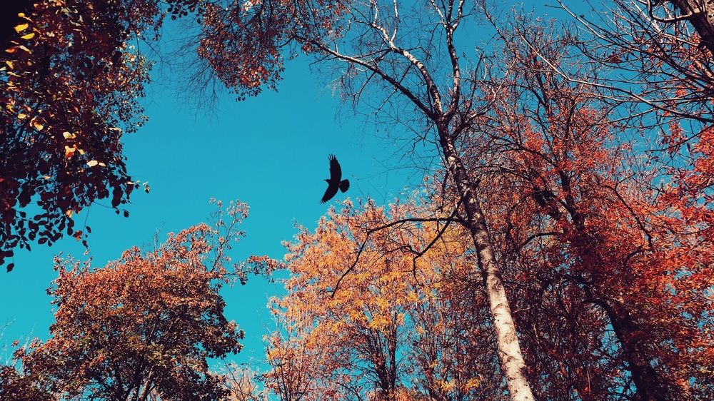 Photograph by Алёна Бондаренко