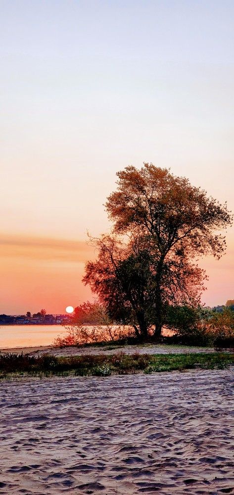 Photograph by Александр Коваленко