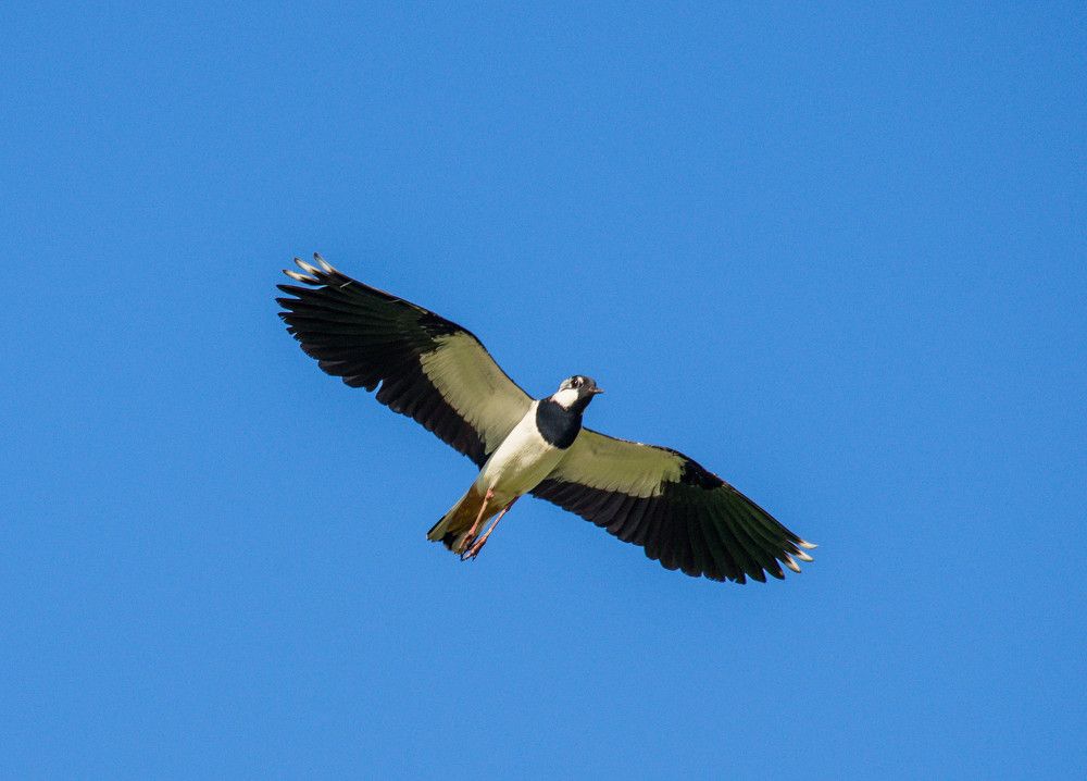 Photograph by Ирина