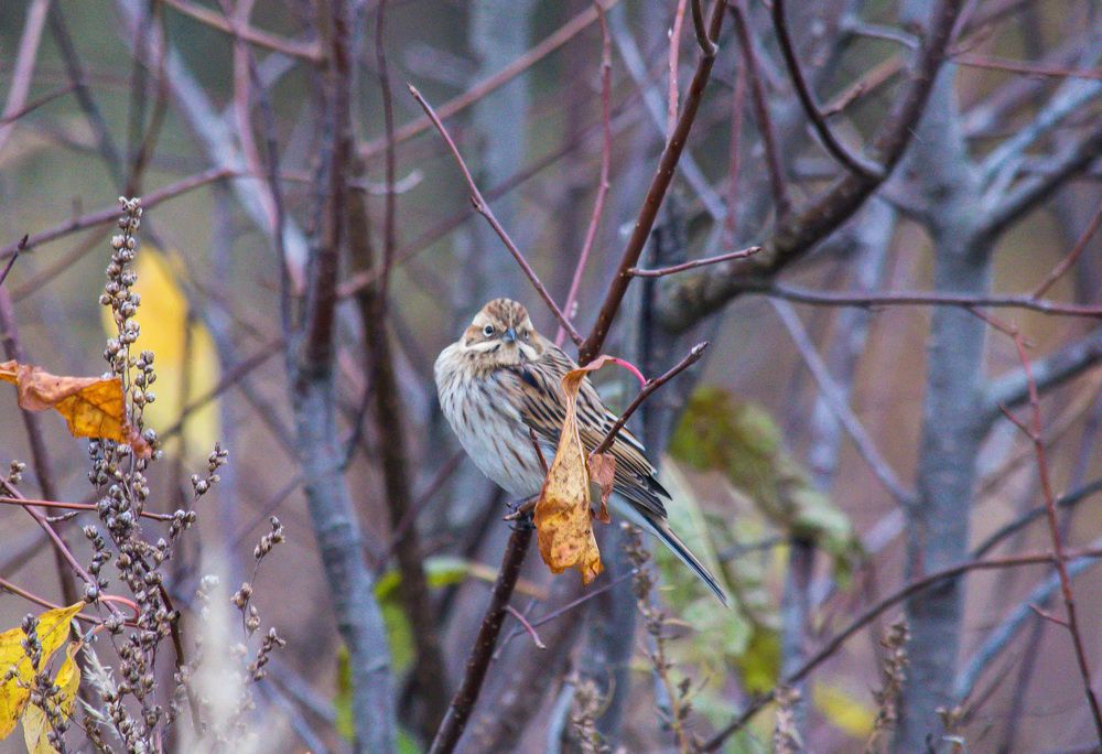 Photograph by Ирина