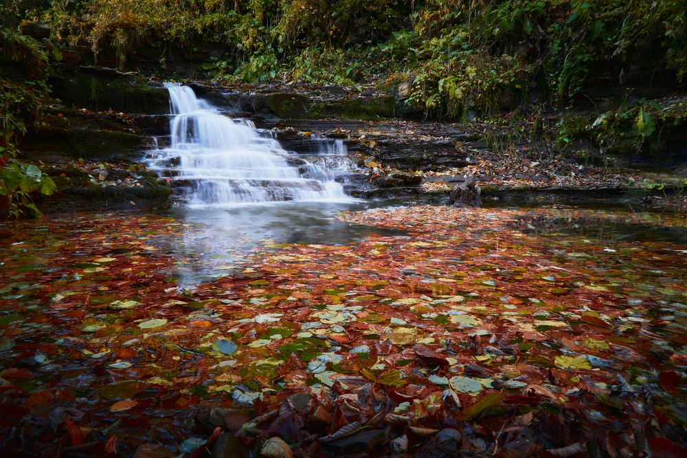 Photograph by Іван Кочержат