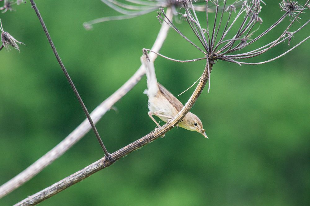 Photograph by Ирина