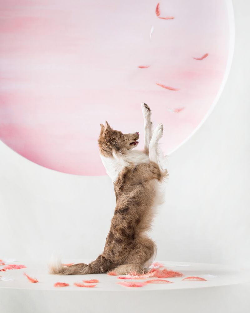 Photograph by Марина Шишкина