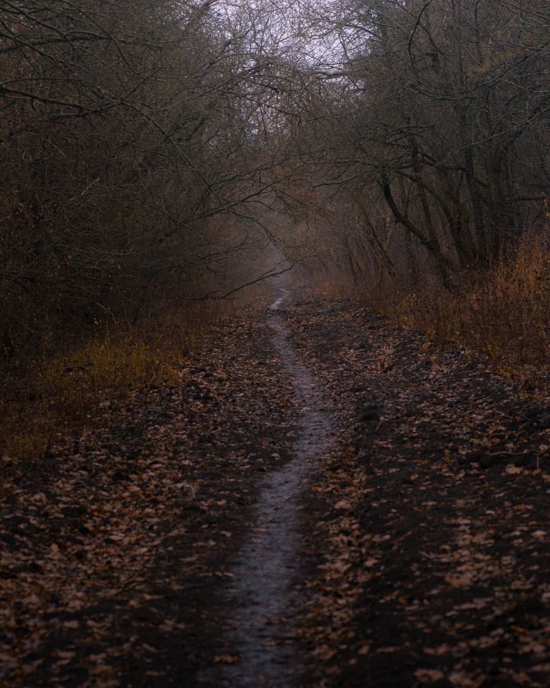 Photograph by Олег Соколов