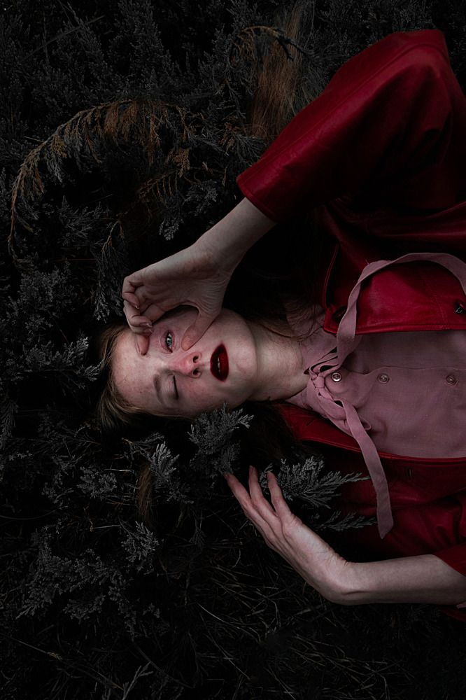 Фотография автора Anastasia Rezvaya