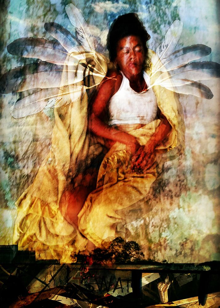 Caribbean Flaming June