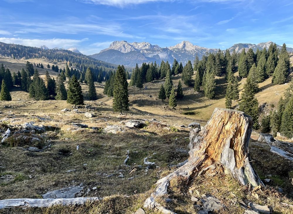 Photograph by Jaka Podlogar