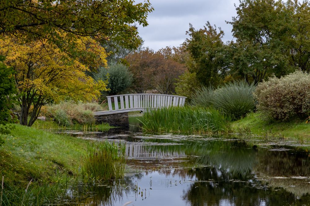 Буйство красок в Ореховно.