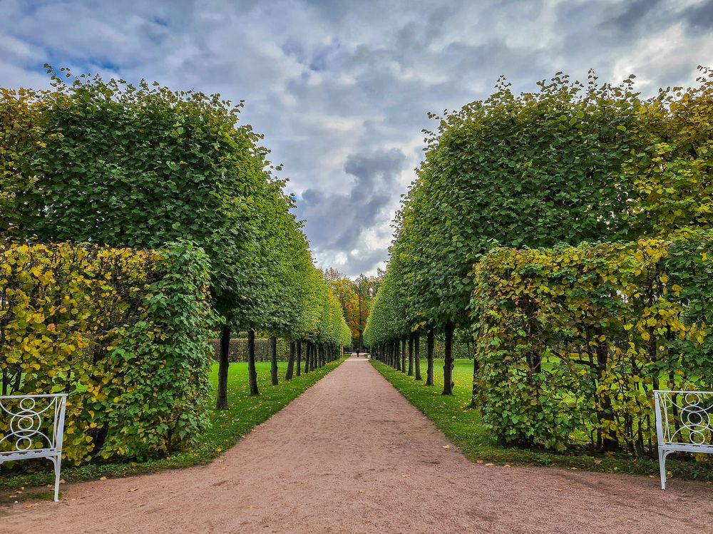 Photograph by Юлия Маврина