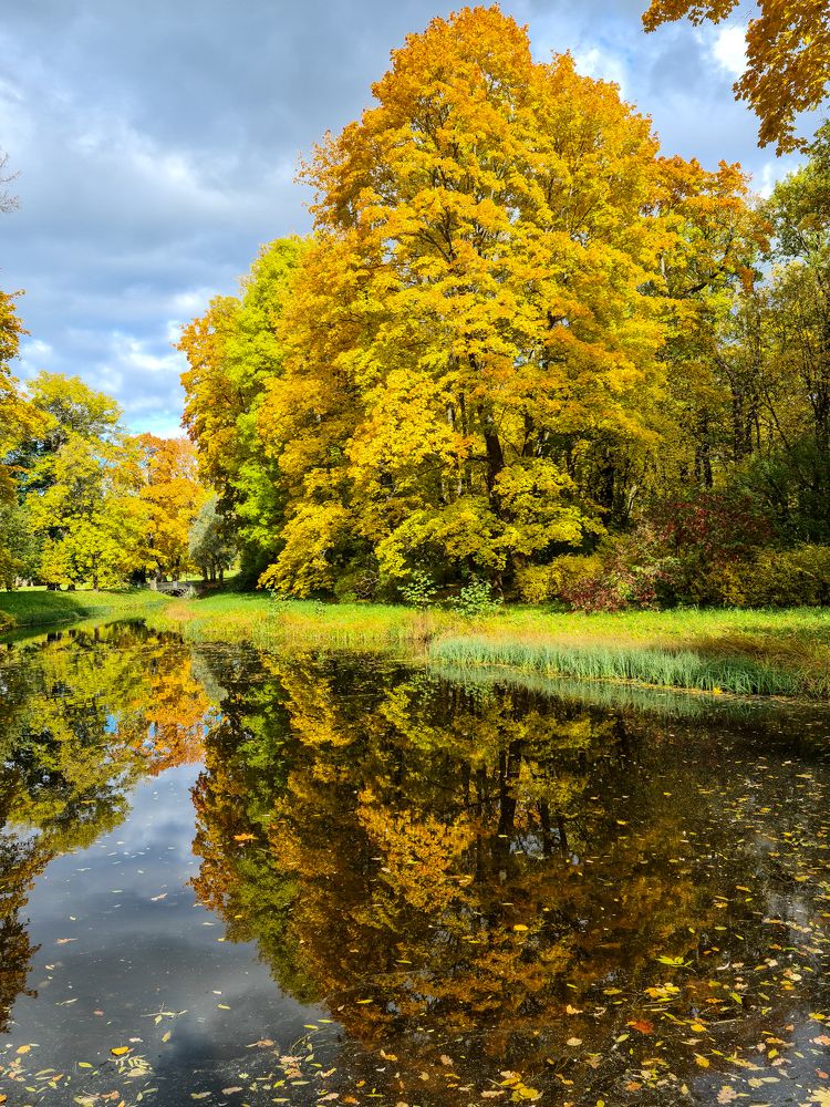 Photograph by Юлия Маврина