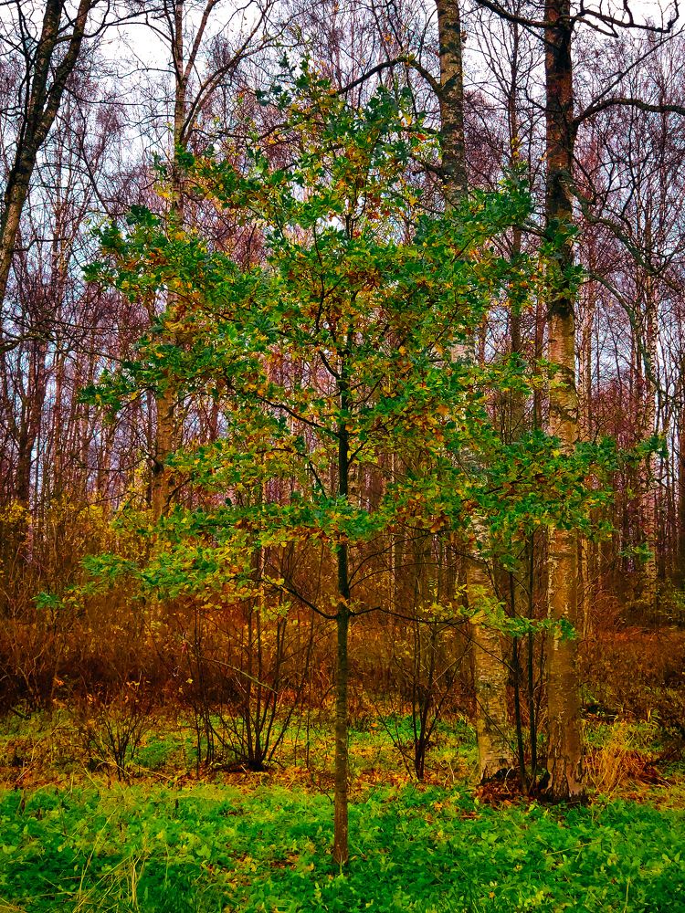 Photograph by Дмитрий Малышев