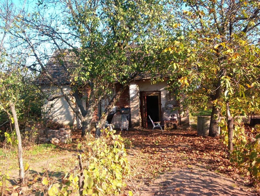 Photograph by eszter bodnár