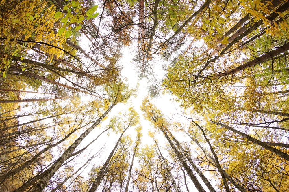 Photograph by Алексей