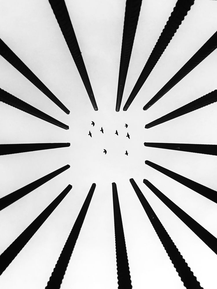 Photograph by Alipour mohammad