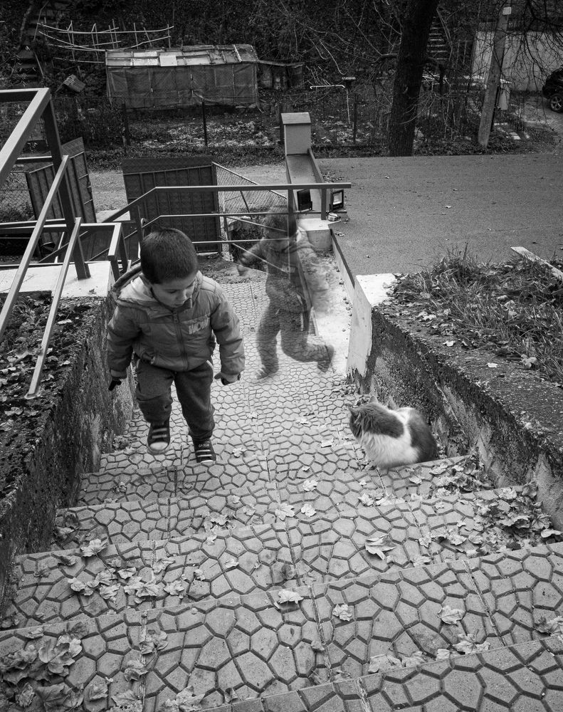 Photograph by Vessella