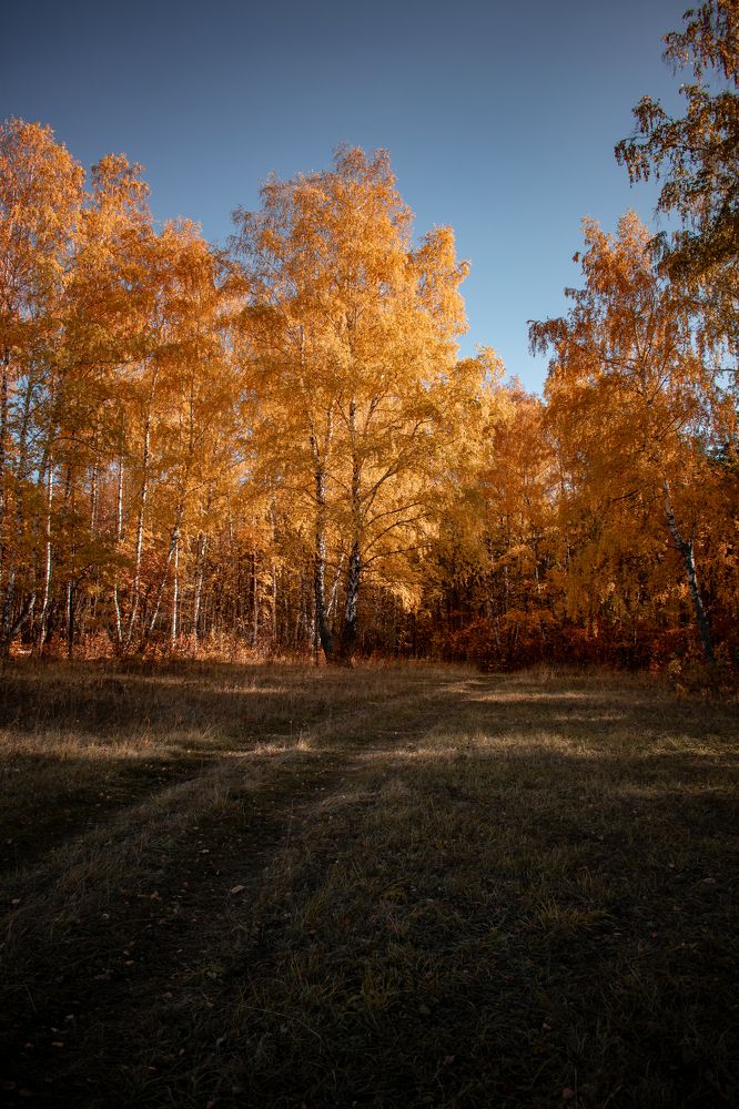 Photograph by Андрей Липовый