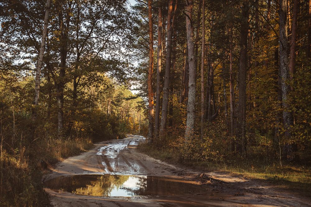 Photograph by Алена