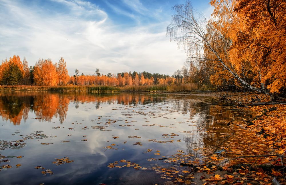 Осенний вальс.