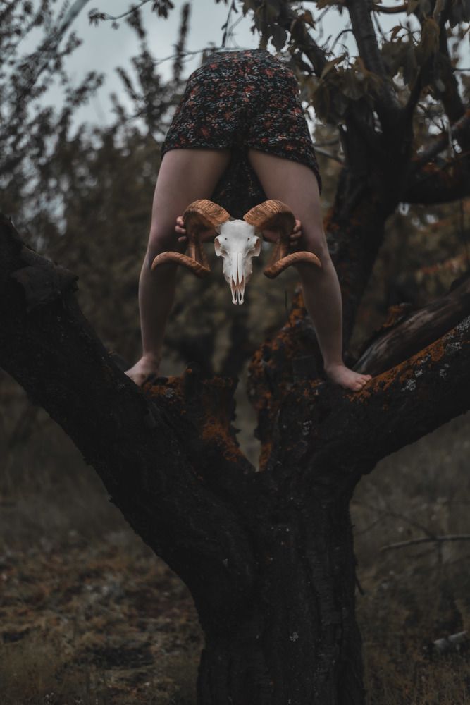 Photograph by Олег Соколов