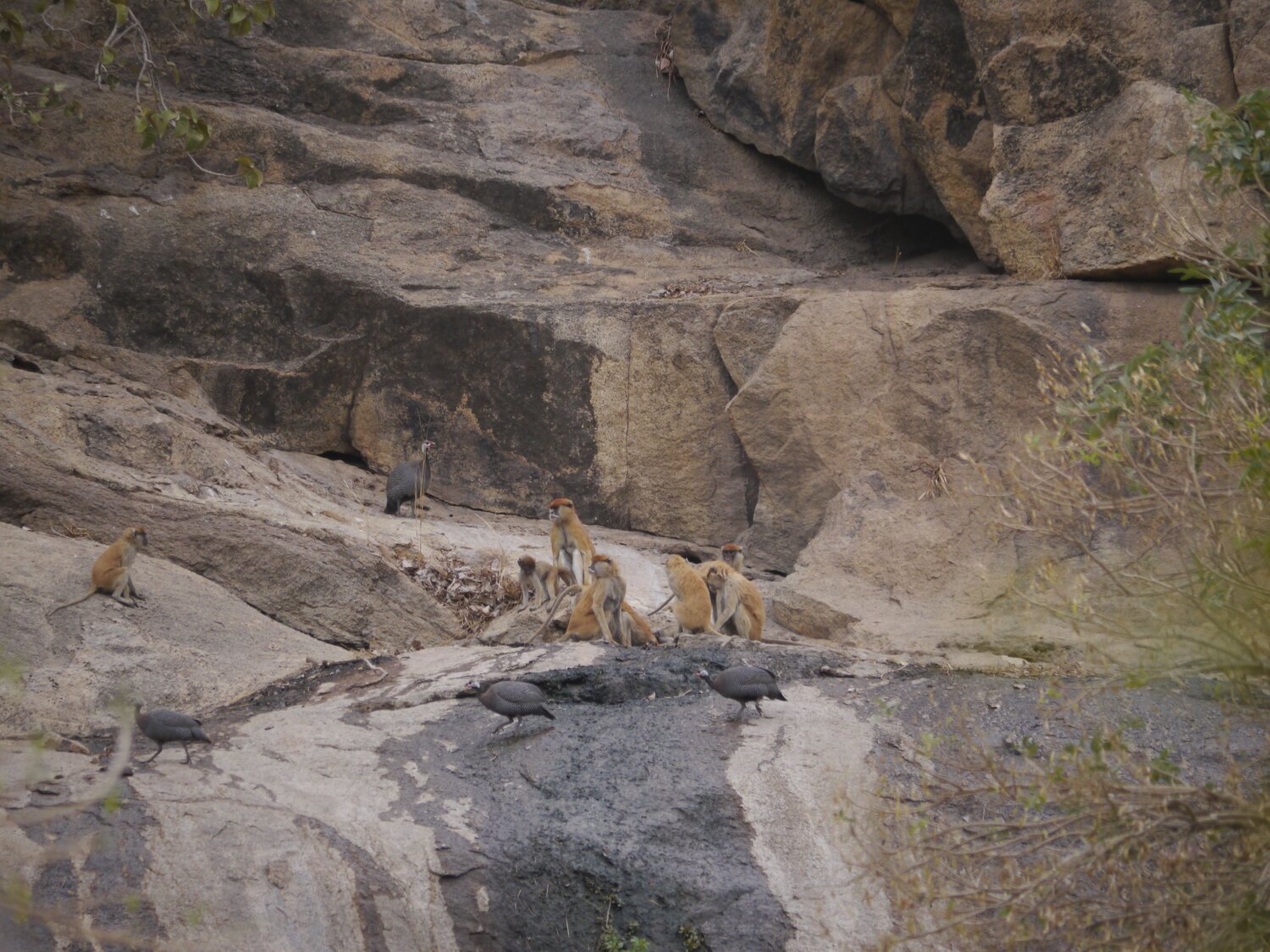 Photo #6672328