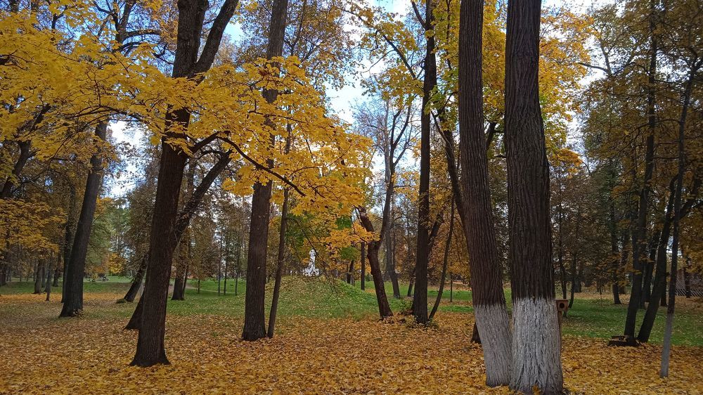 Photograph by Татьяна Евгеньевна
