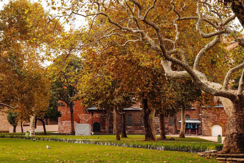 Фотография автора Daria CappuccinKo