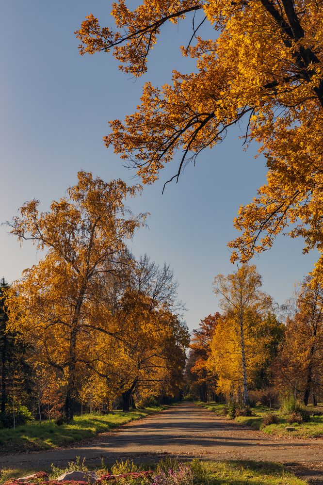 Photograph by Аскар Баймухамедов